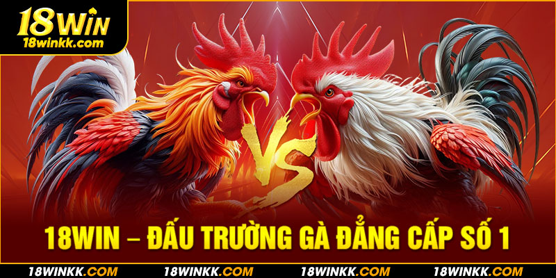 Thông tin về sảnh đá gà 18WIN