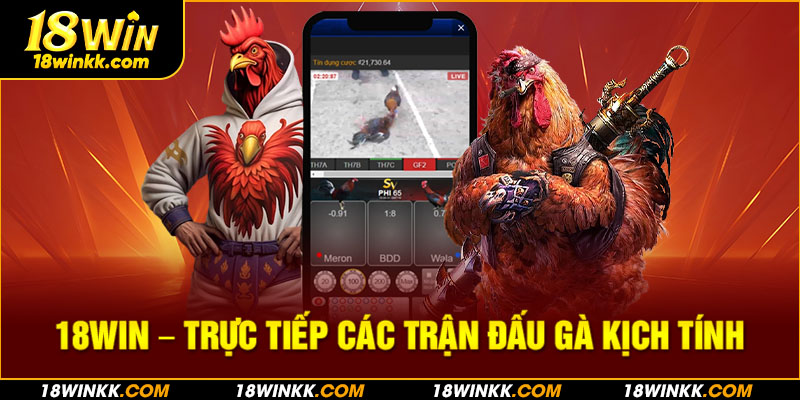 Liên tục phát sóng trựuc tiếp mọi trận đấu gà