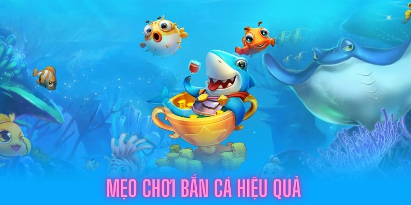 Mẹo chơi bắn cá đạt hiệu quả cao