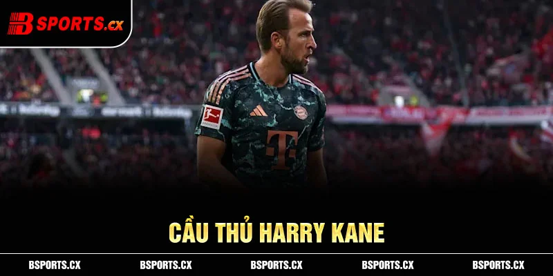 Cầu thủ Harry Kane